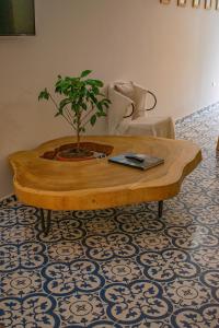 Eco Apartamento Crudo