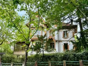 Demeure Arcachonaise de charme - 阿卡雄