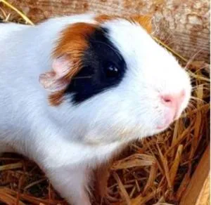 nuitée à la ferme - Jouques