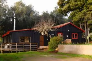 Acogedora casa en la costa de Pelluhue - كوب كيو كيورا