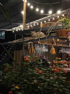 NHÀ CỦA CHI - HOMESTAY Food & Coffee