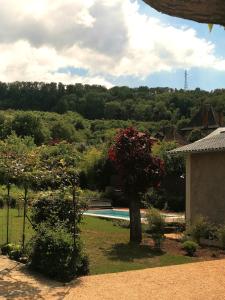 B&B / Chambres d'hotes Chambres d-hotes les 2 tilleuls : photos des chambres
