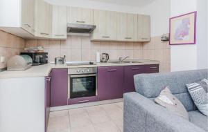 Lovely Home In Privlaka With Wifi