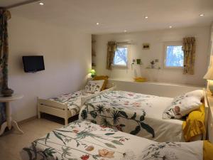 Maisons de vacances Villa Coronille calme et nature : photos des chambres