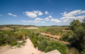 Finca Mianes