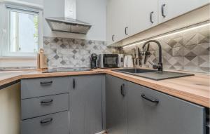 Cozy Apartment In Vir With Wifi