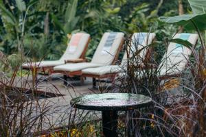 Luxury Villa plus 2 Cabins Rainforest Estate Natural Swim Pond