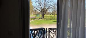 Stan na dan Jovana Šid