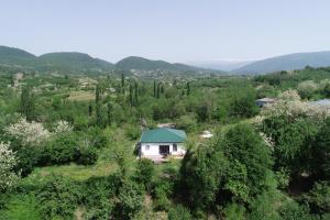 Renovated 3-bedroom House in Nature - Iskia Estate