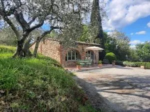 Gli sterpi - Molino del Calcione