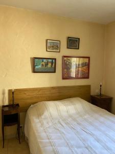 Le petit cabanon en Provence