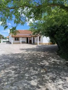 Casa da Nogueira - Carregueiros