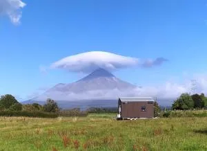 Taranaki Creekside TUI by Tiny Away - Kaponga