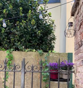 Maisons de vacances Maison Serpolette - maison entiere : photos des chambres