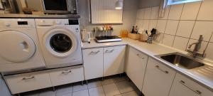 Spacious 110m2 2BR Basement Retreat, Jacuzzi, Table Tennis & Garden Access