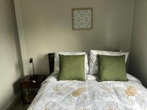 Gaspar Arenal Volcano