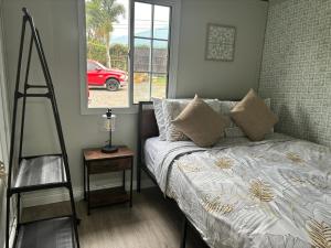 Gaspar Arenal Volcano