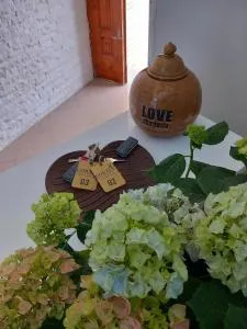 Villa Ida Apartments - Piscupi