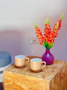 La Casa di Gió in Centro img28