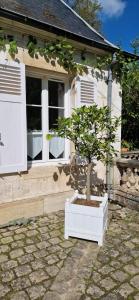 Appartements Clos Montcenoux, au coeur de Bourges. : photos des chambres