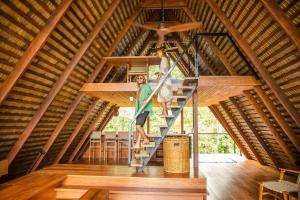 Luxury Villa plus 2 Cabins Rainforest Estate Natural Swim Pond