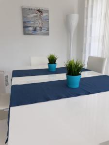 Silver Coast Holiday