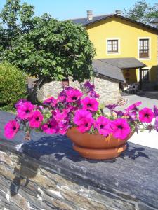 Apartamentos Rurales Casa Pachona, Apartmány - Puerto de Vega