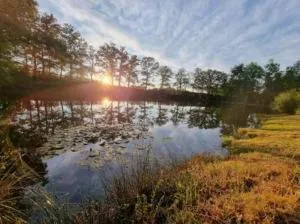 Domaine du grand roc-Gîte 2- Le Roitelet - Mialet