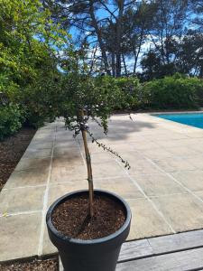 B&B / Chambres d'hotes Villa Sisyphe chambre