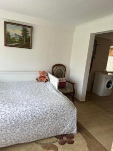 Appartements Appartement Entre Strasbourg Et Colmar - Proche d'Europa Park : photos des chambres