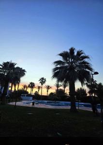 Atico lujo primera linea, terraza, piscina, parking