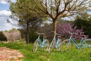 Villas Domaine Les Vaches : photos des chambres