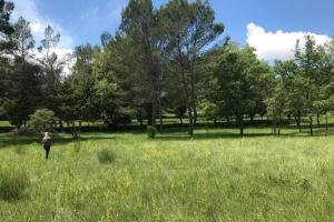 Villas Domaine Les Vaches : photos des chambres