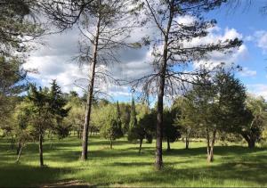 Villas Domaine Les Vaches : photos des chambres