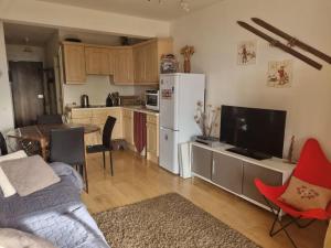 Appartements Grand studio a Valberg a 5 mn a pied des pistes : photos des chambres