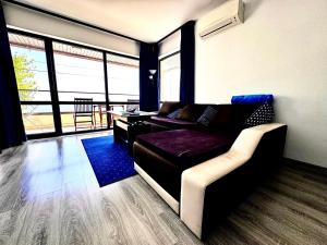 Blue Sunrise Comfort