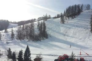 Appartements Studio a Valberg pour 4 pers face aux pistes : photos des chambres