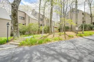 Ski-InandSki-Out Wintergreen Resort Condo and Hot Tub! - Lyndhurst