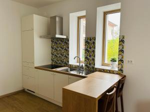 Apartment Gallus 