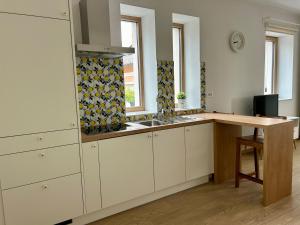 Apartment Gallus 