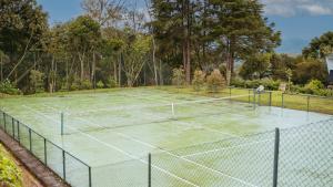 Chalé Florestal - Tranquilidade e conforto próximo ao Horto Florestal