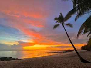 Sonny Island Resort Cabañas Frente al Mar