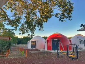 Iglú Sparrow vista al cielo - El Coco