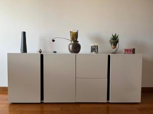 Top floor Porta Romana & Boboli Garden apartment