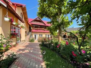 Pensiunea Alina - Pîţîligeni