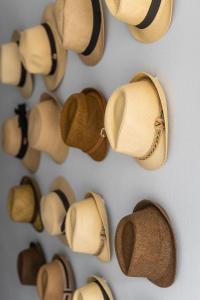 Alpha & Omega Apartments