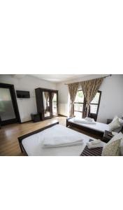 Vatra Dacilor Transalpina