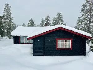 Sälentoppen - Sälsätern