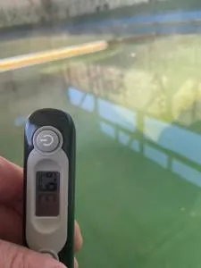 绿洲汽车旅馆加图朗伊假日公园 - Tokaanu