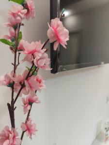 Camelia Vico Equense